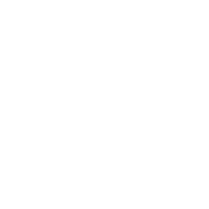 FISE Action Sports Festival